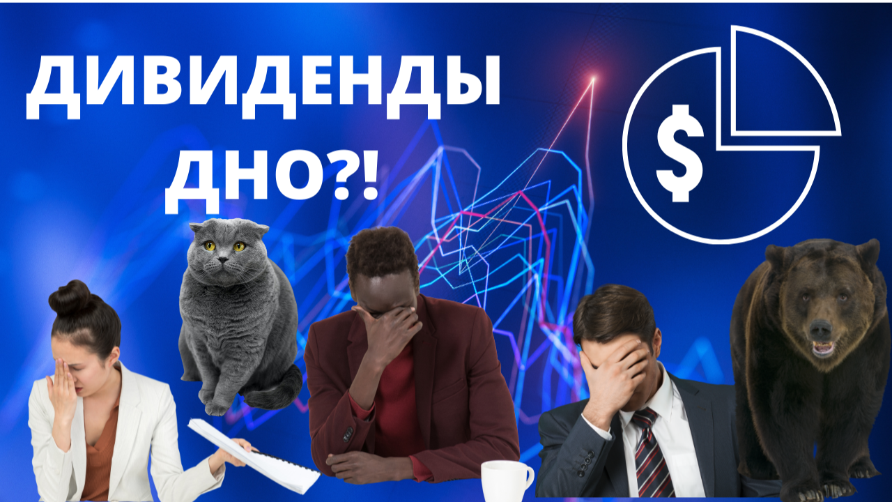 Пассивный доход в 2024 году: какую акцию лучше всего купить под дивиденды?