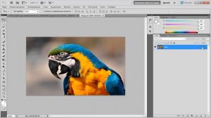 Как удалить фон на картинке в фотошопе