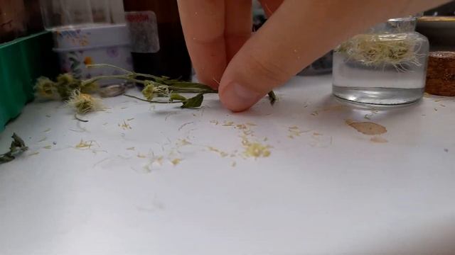 зельеваренье Зелье Земли рецепт