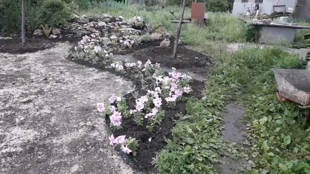 Ручеёк из цветов. Клумбы своими руками
