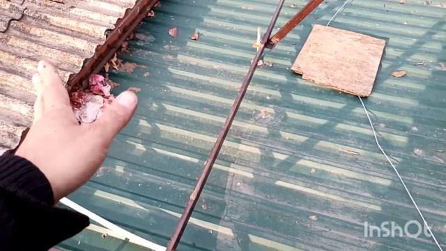 Ферма для солнечных панелей смотреть онлайн