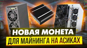 НОВАЯ МОНЕТА ДЛЯ МАЙНИНГА НА АСИКАХ