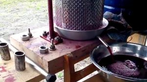 Как сделать сок из винограда