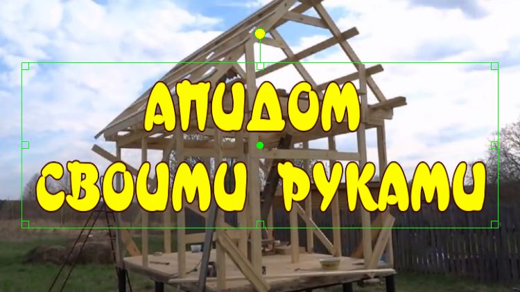 АПИДОМ СВОИМИ РУКАМИ ИЛИ СОН НА ПЧЕЛАХ. смотреть онлайн