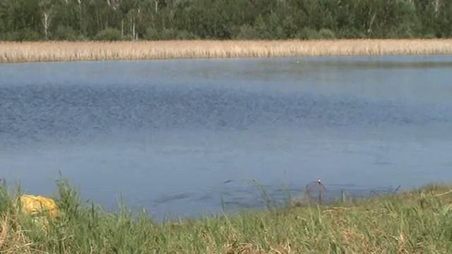 Жедяевка внизу смотреть онлайн