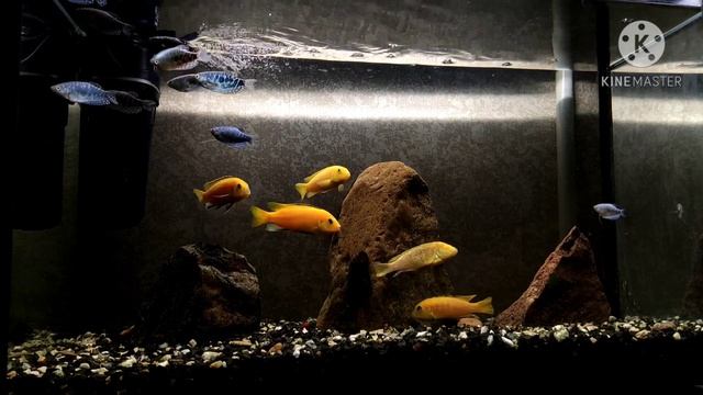 Спокойная музыка для сна/MUSIC for RELAX and sleeping смотреть онлайн