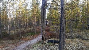 Барсуки ЕТУ-ЯХА