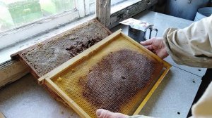 Как сохранить перговые рамки в осеннезимний период.