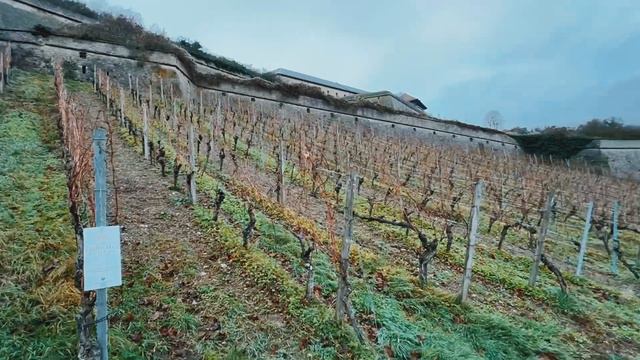 Из Беларуси в Вюрцбург. Рождество в Европе 2023. смотреть онлайн