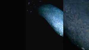 Моновпрыск , захлебывается и глохнет при нажатии газа. Мотор f3n740