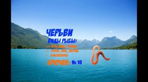 УНИВЕРСАЛЬНЫЕ НАЖИВКИ И НАЖИВКИ ДЛЯ НЕ ХИЩНОЙ РЫБЫ - ТОП НАЖИВОК 2017 ОТ КОТОРЫХ РЫБА БЕЗ УМА