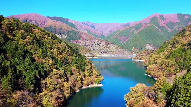 Вірш з глибоким змістом. Автор Катріна Рябой