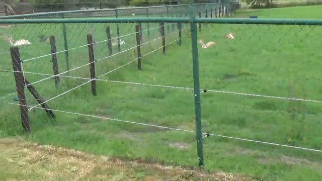 Прогулка. Хамме. Бельгия. смотреть онлайн