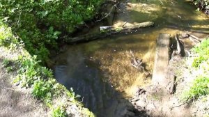 Поселок Шугозеро