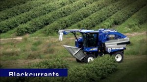 Виноградо-уборочный комбайн New Holland Braud