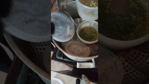 пересадка протокормов на новую питательную среду(семена орхидей подросли)