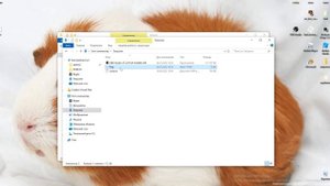 как получить бесплатно лицо в роблокс///туториал///роблокс