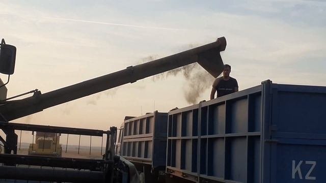 Есиль 740.Прокатился с комбайнером.Уборка 2022.#комбайн #алекс_юстасу #сезон2022 #пшеничка