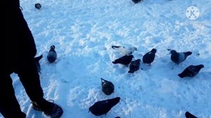 《"Как помочь природе?"》 Самый простой вариант!!!!