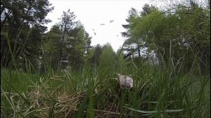 Borner Super Sport 703