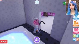 МНОГОЭТАЖКИ (на которые мне не хватит денег) Обновление в адопт ми! roblox adopt me