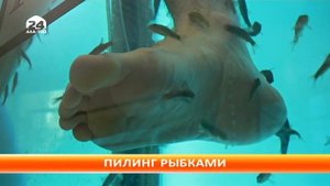 Лечение рыбками