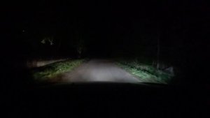 ЛАМПЫ ДЛЯ ТУМАНОК 4300К И 6500К // ТОПЧИК ИЛИ БЮДЖЕТНО ?