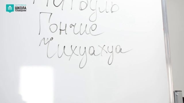 Виды копирайтинга.
