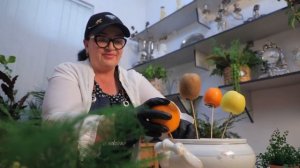 Декор Фруктов со стабилизированным можжевельником