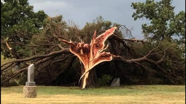 Н. Заболоцкий "Гроза идёт" смотреть онлайн