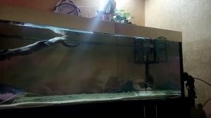 Домашний аквариум 1,5 тонны