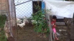 Мытки Барский р-н Винницкая обл.