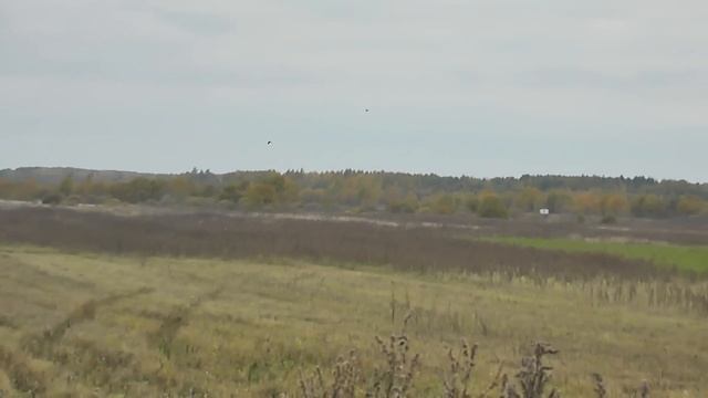 полёты ворона продолжаются смотреть онлайн