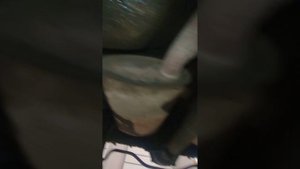 О вреде пушсала. Пушечного сала.