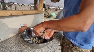 Обалденный черноморский анчоус