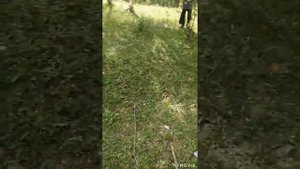 ДАГЕСТАН  / ЦУМАДИНСКИЙ РАЙОН / СЕЛО ГАКВАРИ🏔