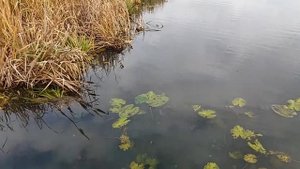 Причал на винтовых сваях своими руками 2ч.