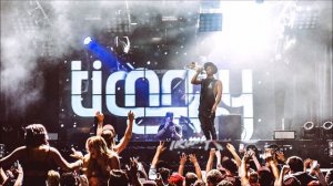 Timmy Trumpet Mix