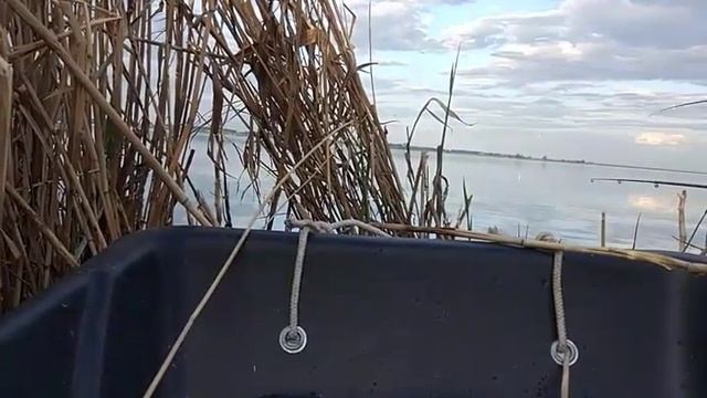 Трехлетний рыбак на крупного карася. смотреть онлайн