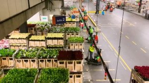 Did You Know?: Royal FloraHolland - Aalsmeer, Netherlands