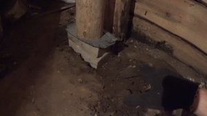 Лучшее решение для подпорки половых балок. Компенсатор усадки. Ужи на участке. Подпорки для пола