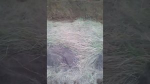Подушка под ростверк