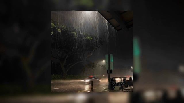 mzlff, sted.d - однополярности ♡speed up♡ смотреть онлайн