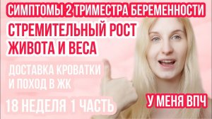 ВТОРОЙ ТРИМЕСТР БЕРЕМЕННОСТИ ◈ ВПЧ ◈ 18 неделя беременности 1 Часть ◈ Влоги беременной Сашки