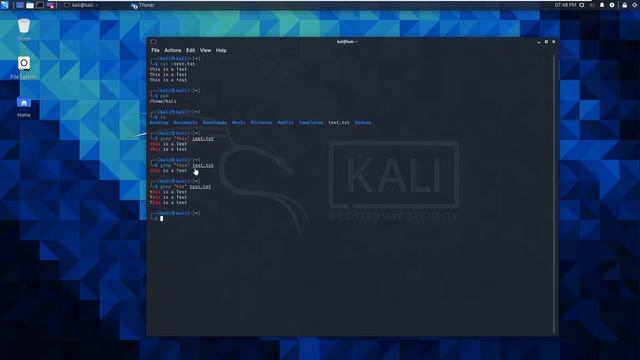 Kali Linux Fundamentals - 12 - Grep смотреть онлайн