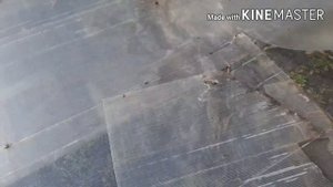 Установка  теплицы из поликарбоната.Как установить теплицу 3 на 6 метров чтобы она не улетела.