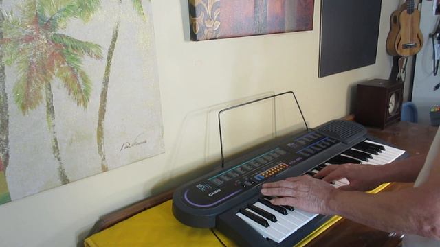 Casio CTK 80 Music Keyboard. Fun With Vintage Keyboard. смотреть онлайн
