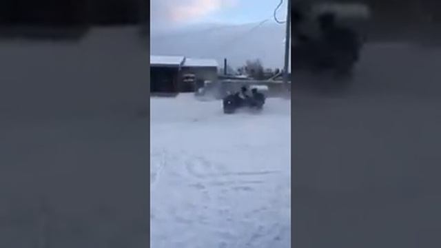 Квадрик и баги смотреть онлайн