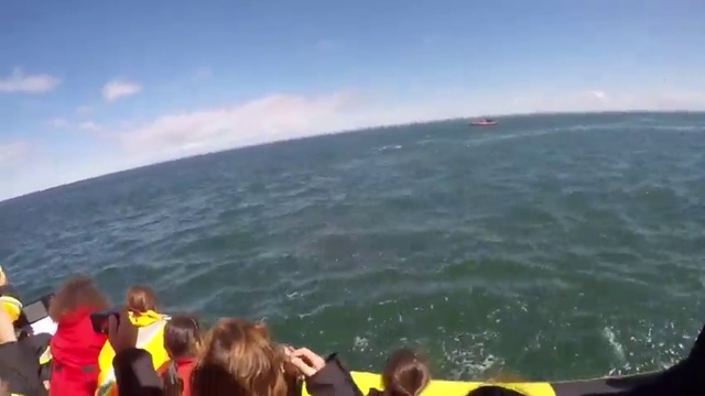 Это происходит раз в 100 ЛЕТ смотреть онлайн