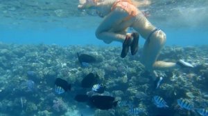 Египет 2021 Отель Fun&Sun Smart Seti Sharm Отзыв туриста